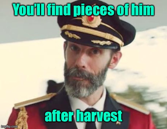 Captain Obvious | You’ll find pieces of him after harvest | image tagged in captain obvious | made w/ Imgflip meme maker