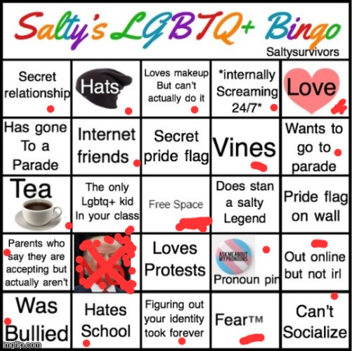 The Pride Bingo | image tagged in the pride bingo | made w/ Imgflip meme maker