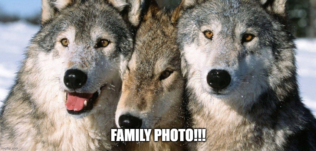 Family Photo | FAMILY PHOTO!!! | image tagged in funny | made w/ Imgflip meme maker
