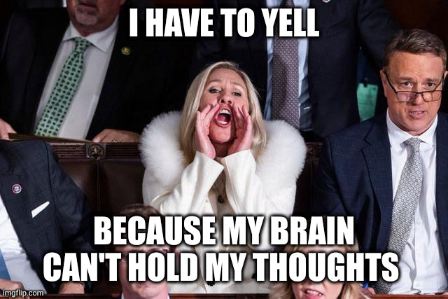 Interrupting Intelligence | I HAVE TO YELL; BECAUSE MY BRAIN CAN'T HOLD MY THOUGHTS | image tagged in interrupting intelligence,memes | made w/ Imgflip meme maker