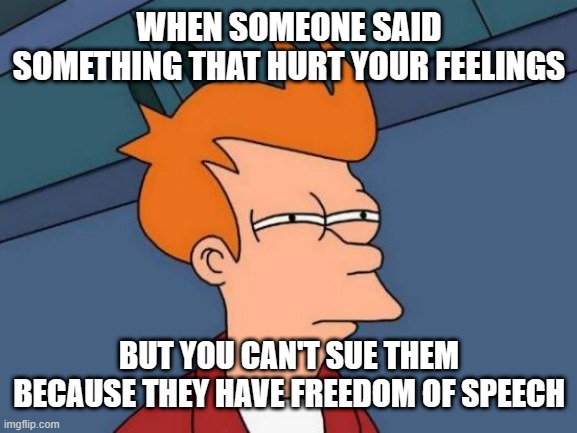 Futurama Fry | WHEN SOMEONE SAID SOMETHING THAT HURT YOUR FEELINGS; BUT YOU CAN'T SUE THEM BECAUSE THEY HAVE FREEDOM OF SPEECH | image tagged in memes,futurama fry | made w/ Imgflip meme maker
