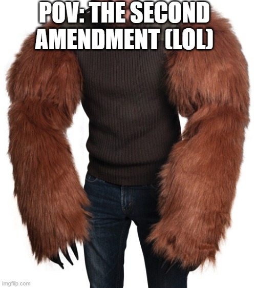 Bear arms | POV: THE SECOND AMENDMENT (LOL) | image tagged in bear arms | made w/ Imgflip meme maker