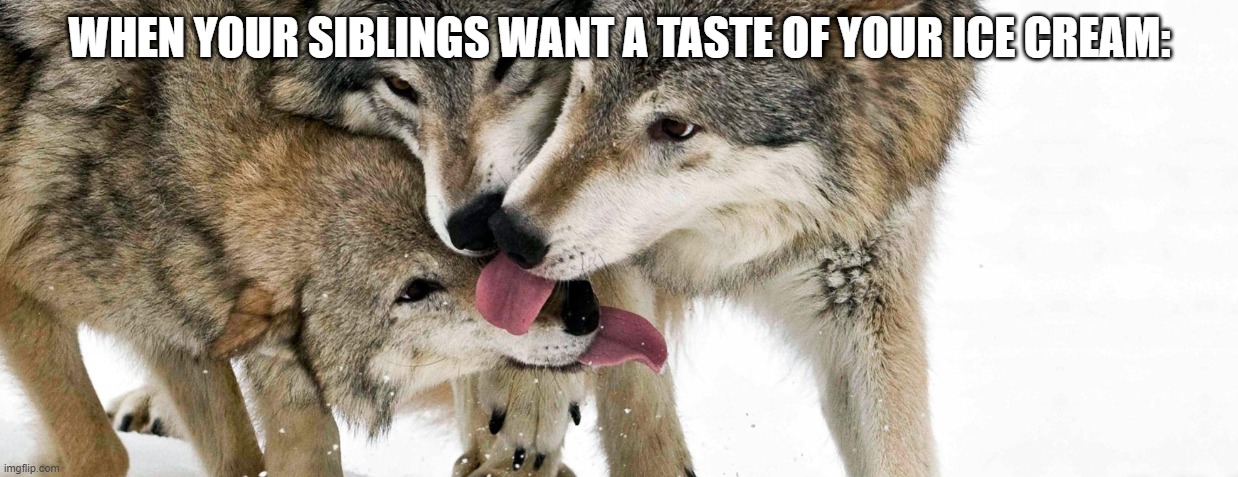 Wolf meme | WHEN YOUR SIBLINGS WANT A TASTE OF YOUR ICE CREAM: | image tagged in funny | made w/ Imgflip meme maker