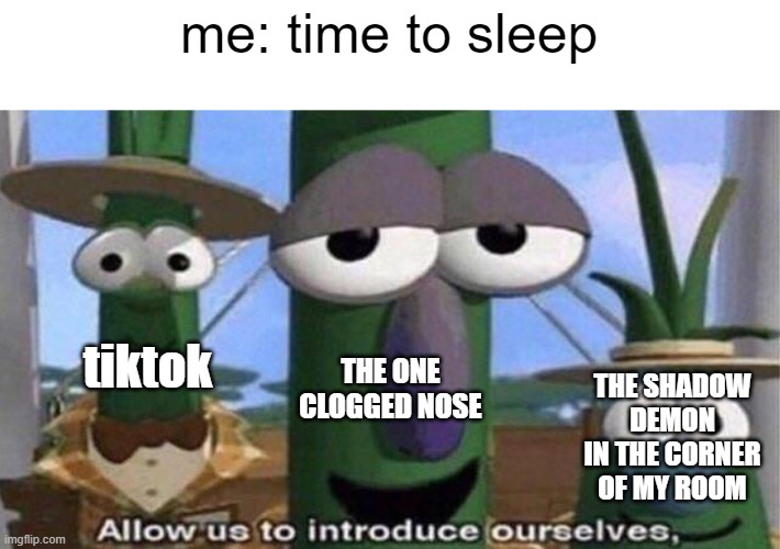 slep | me: time to sleep; tiktok; THE SHADOW DEMON IN THE CORNER OF MY ROOM; THE ONE CLOGGED NOSE | image tagged in veggietales 'allow us to introduce ourselfs',memes,meme,funny,sleep | made w/ Imgflip meme maker
