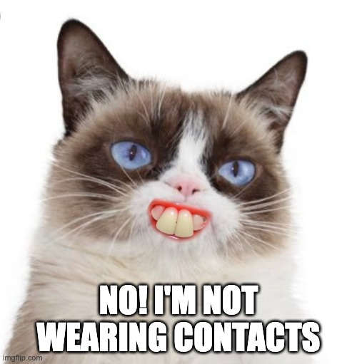 Ole Blue Eyes | NO! I'M NOT WEARING CONTACTS | image tagged in grumpy cat artificially smiles | made w/ Imgflip meme maker