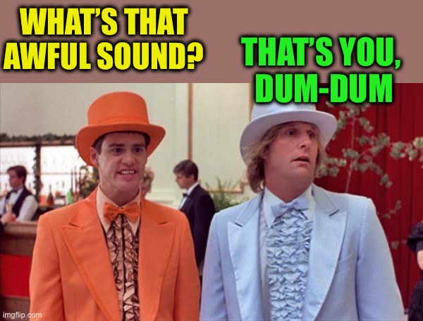 dumb and dumber | WHAT’S THAT AWFUL SOUND? THAT’S YOU,
 DUM-DUM | image tagged in dumb and dumber | made w/ Imgflip meme maker