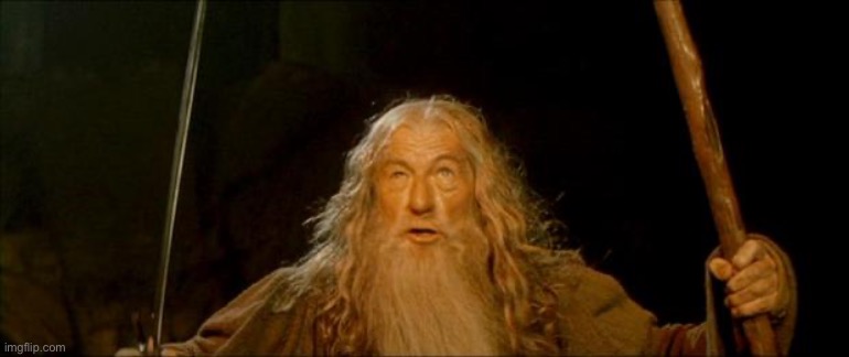 gandalf you shall not pass | image tagged in gandalf you shall not pass | made w/ Imgflip meme maker