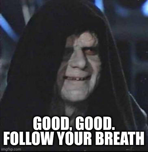 Sidious Error Meme | GOOD, GOOD. FOLLOW YOUR BREATH | image tagged in memes,sidious error | made w/ Imgflip meme maker