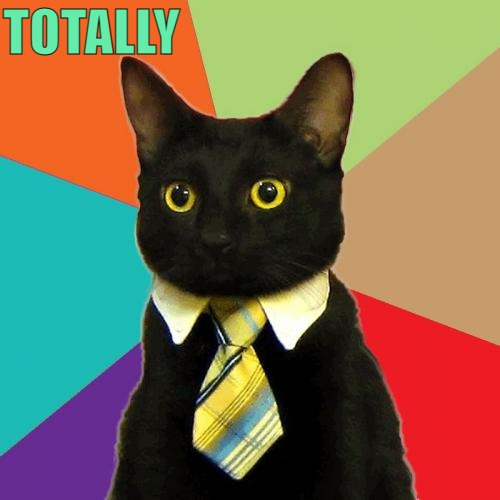 Business Cat Meme | TOTALLY | image tagged in memes,business cat | made w/ Imgflip meme maker