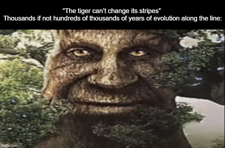 Take that, athiest. | “The tiger can’t change its stripes” 
Thousands if not hundreds of thousands of years of evolution along the line: | image tagged in wise mystical tree | made w/ Imgflip meme maker