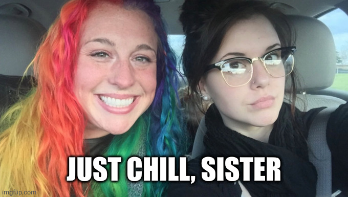 My Sister And I Are Polar Opposites | JUST CHILL, SISTER | image tagged in my sister and i are polar opposites | made w/ Imgflip meme maker