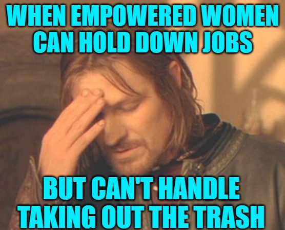 Frustrated Boromir Meme | WHEN EMPOWERED WOMEN
CAN HOLD DOWN JOBS BUT CAN'T HANDLE TAKING OUT THE TRASH | image tagged in memes,frustrated boromir | made w/ Imgflip meme maker