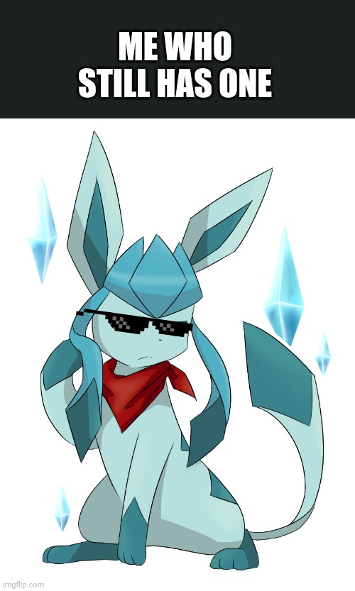 glaceon bandana | ME WHO STILL HAS ONE | image tagged in glaceon bandana | made w/ Imgflip meme maker