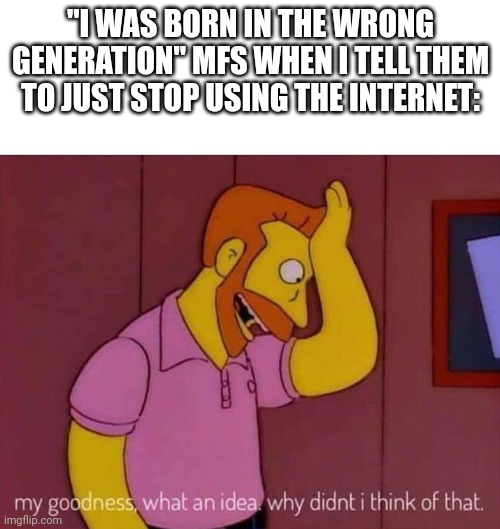 my goodness what an idea why didn't I think of that | "I WAS BORN IN THE WRONG GENERATION" MFS WHEN I TELL THEM TO JUST STOP USING THE INTERNET: | image tagged in my goodness what an idea why didn't i think of that | made w/ Imgflip meme maker