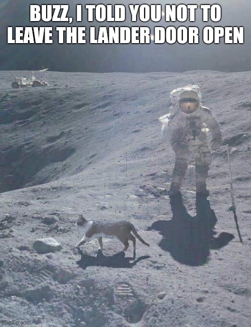 Cat On the Moon | BUZZ, I TOLD YOU NOT TO LEAVE THE LANDER DOOR OPEN | image tagged in memes,cat,moon,astronaut | made w/ Imgflip meme maker
