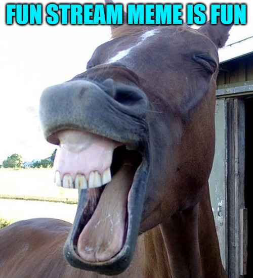 Funny Horse Face | FUN STREAM MEME IS FUN | image tagged in funny horse face | made w/ Imgflip meme maker