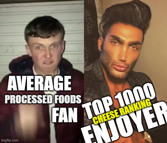murica vs the eu | AVERAGE; TOP 1000; PROCESSED FOODS; CHEESE RANKING; ENJOYER; FAN | image tagged in murica vs the eu | made w/ Imgflip meme maker