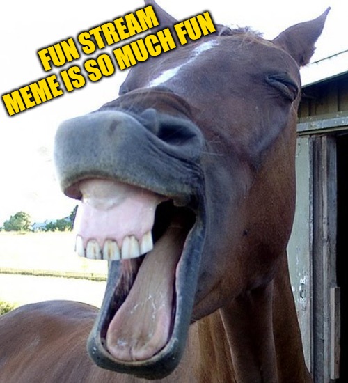 Funny Horse Face | FUN STREAM MEME IS SO MUCH FUN | image tagged in funny horse face | made w/ Imgflip meme maker