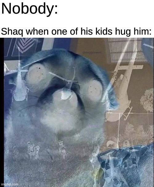hack a shaq | Nobody:; Shaq when one of his kids hug him: | image tagged in memes,blank transparent square,ptsd chihuahua,basketball,shaq | made w/ Imgflip meme maker