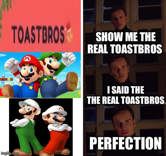 Hahaha funny meme | SHOW ME THE REAL TOASTBROS; I SAID THE THE REAL TOASTBROS; PERFECTION | image tagged in perfection | made w/ Imgflip meme maker