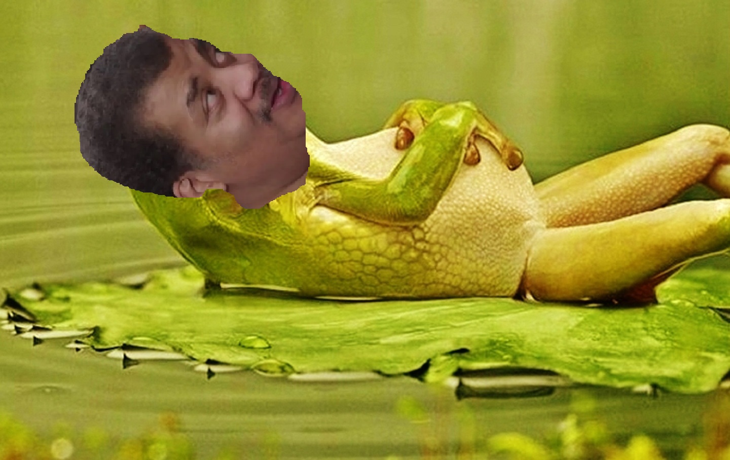 High Quality frog neil degrasse tyson Blank Meme Template