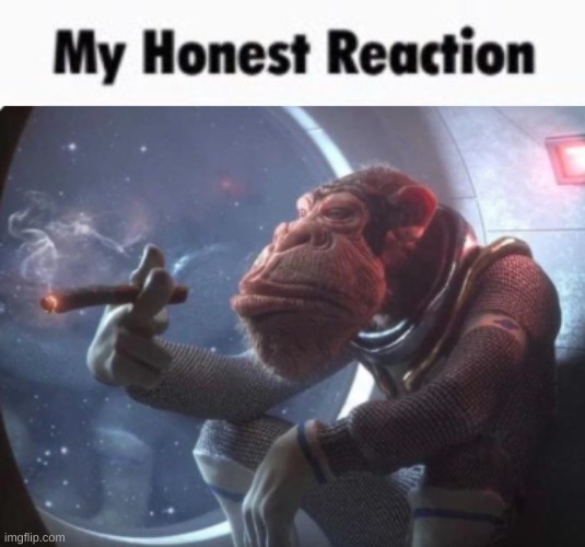 My honest reaction monke | image tagged in my honest reaction monke | made w/ Imgflip meme maker