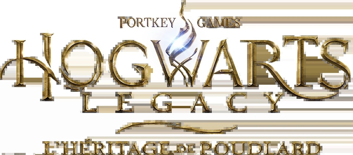 Hogwarts Legacy (French) Blank Template - Imgflip