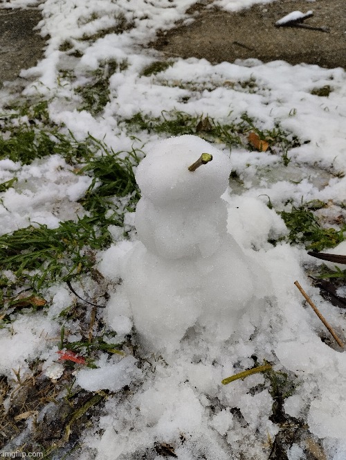 It snowed a bit on my country so I made a tiny snowman lol | image tagged in snow,snowman,tiny | made w/ Imgflip meme maker