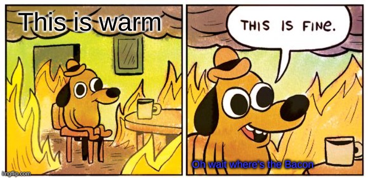 This Is Fine Meme | This is warm; Oh wait where's the Bacon | image tagged in memes,this is fine | made w/ Imgflip meme maker