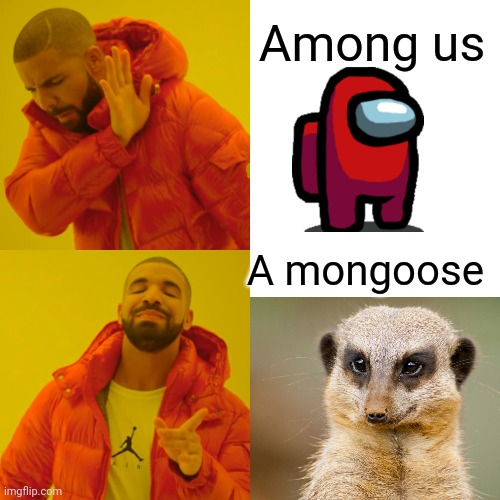 Drake Hotline Bling Meme | Among us; A mongoose | image tagged in memes,drake hotline bling | made w/ Imgflip meme maker