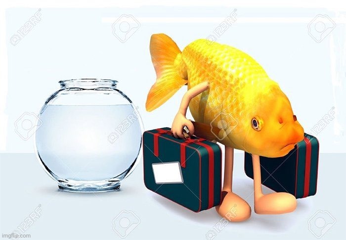 Stock photo | image tagged in stock photo | made w/ Imgflip meme maker