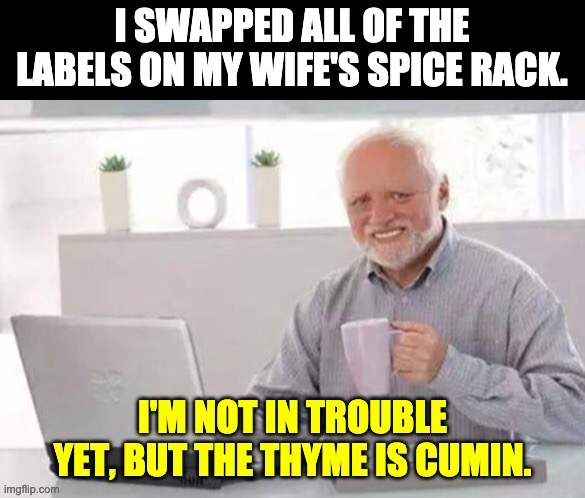 Spices | image tagged in bad puns | made w/ Imgflip meme maker