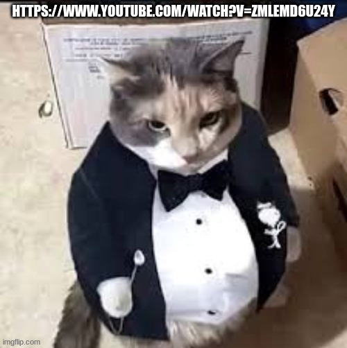 best commercial ever | HTTPS://WWW.YOUTUBE.COM/WATCH?V=ZMLEMD6U24Y | made w/ Imgflip meme maker