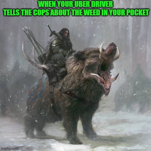 SQUEAL!!!! | WHEN YOUR UBER DRIVER
 TELLS THE COPS ABOUT THE WEED IN YOUR POCKET | image tagged in fantasy,pig,boar,art,weed man,uber | made w/ Imgflip meme maker