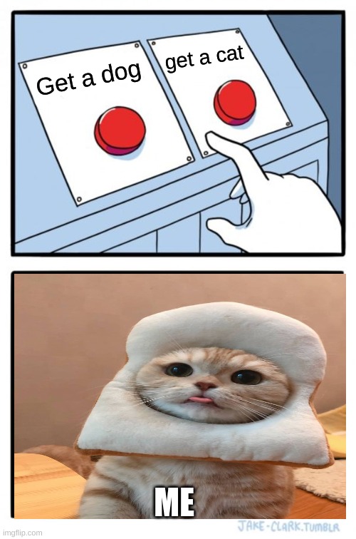 Two Buttons Meme | get a cat; Get a dog; ME | image tagged in memes,two buttons | made w/ Imgflip meme maker