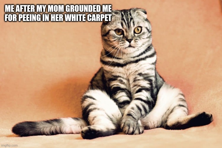 ME AFTER MY MOM GROUNDED ME FOR PEEING IN HER WHITE CARPET | made w/ Imgflip meme maker