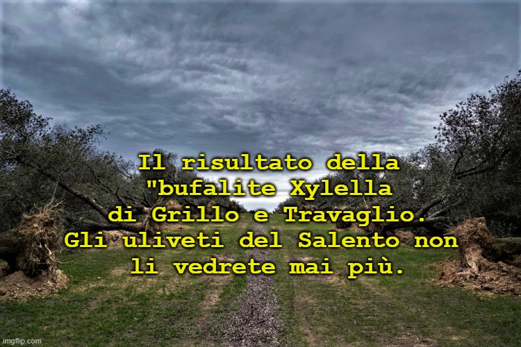 Il risultato della "bufalite Xylella
di Grillo e Travaglio.
Gli uliveti del Salento non 
li vedrete mai più. | made w/ Imgflip meme maker