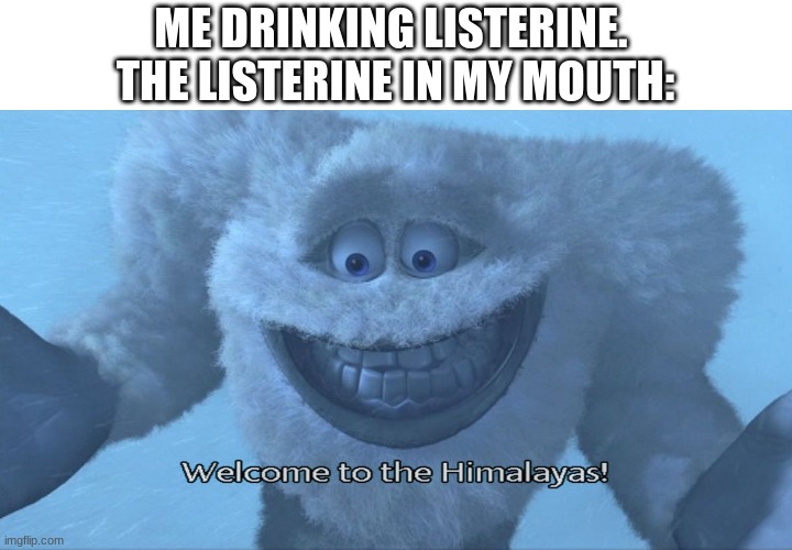 Why is it so cold |  ME DRINKING LISTERINE. 
THE LISTERINE IN MY MOUTH: | image tagged in welcome to the himalayas | made w/ Imgflip meme maker