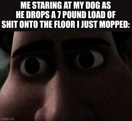 Happens more than you'd think. | ME STARING AT MY DOG AS HE DROPS A 7 POUND LOAD OF SHIT ONTO THE FLOOR I JUST MOPPED: | image tagged in titan stare | made w/ Imgflip meme maker
