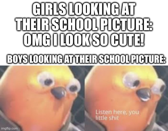 Listen here you little shit bird | GIRLS LOOKING AT THEIR SCHOOL PICTURE: OMG I LOOK SO CUTE! BOYS LOOKING AT THEIR SCHOOL PICTURE: | image tagged in listen here you little shit bird | made w/ Imgflip meme maker