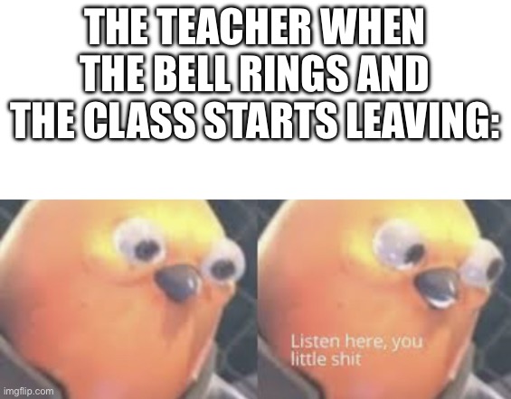 Listen here you little shit bird | THE TEACHER WHEN THE BELL RINGS AND THE CLASS STARTS LEAVING: | image tagged in listen here you little shit bird | made w/ Imgflip meme maker