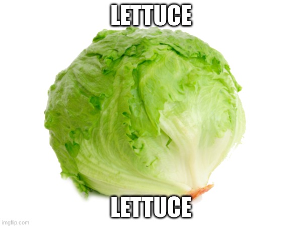 LETTUCE | LETTUCE; LETTUCE | image tagged in lettuce | made w/ Imgflip meme maker