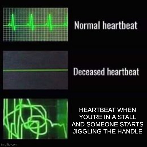 It freaks me out every time | HEARTBEAT WHEN YOU'RE IN A STALL AND SOMEONE STARTS JIGGLING THE HANDLE | image tagged in heartbeat rate,bathroom | made w/ Imgflip meme maker