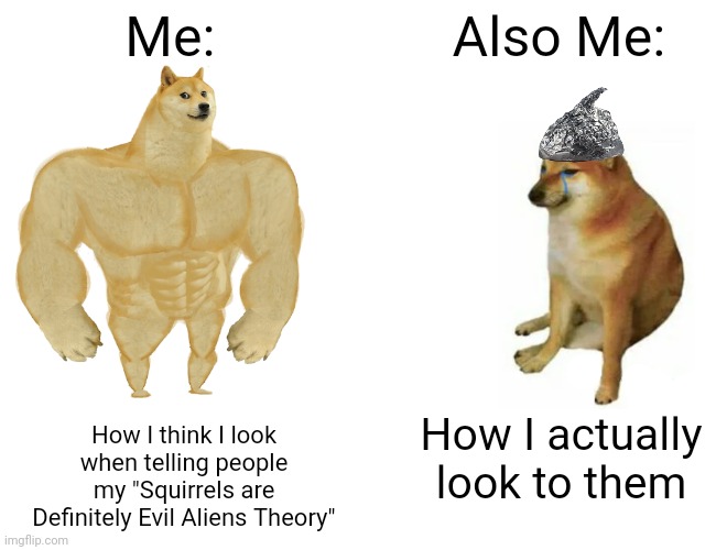 Squirrels are out to get us!!! | Me:; Also Me:; How I think I look when telling people my "Squirrels are Definitely Evil Aliens Theory"; How I actually look to them | image tagged in memes,buff doge vs cheems,conspiracy | made w/ Imgflip meme maker
