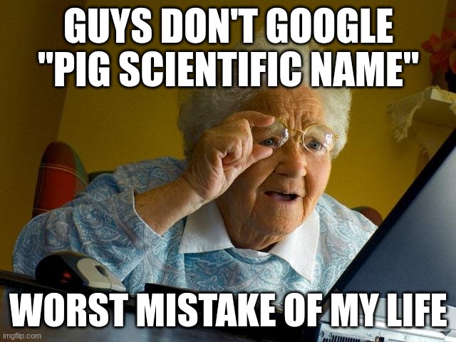 Uh.... Yeah.... I..... Won't. | GUYS DON'T GOOGLE "PIG SCIENTIFIC NAME"; WORST MISTAKE OF MY LIFE | image tagged in memes,grandma finds the internet | made w/ Imgflip meme maker