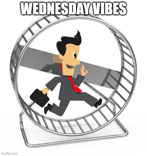 Wednesday vibes | WEDNESDAY VIBES | image tagged in wednesday,rat race,hamster wheel | made w/ Imgflip meme maker