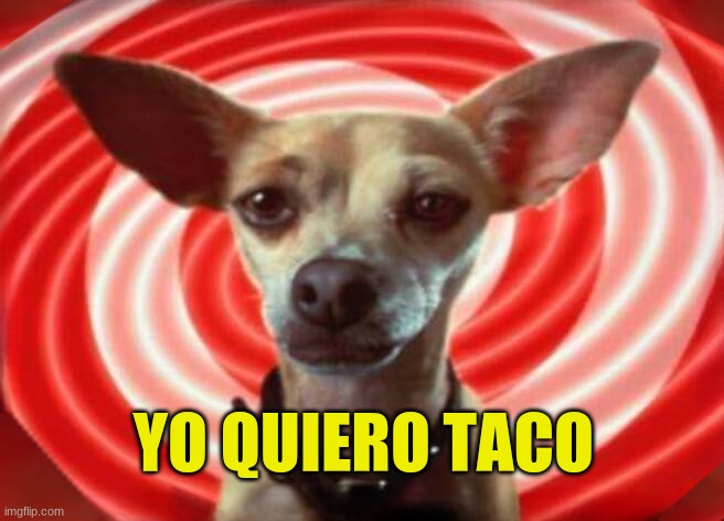 He Want It | YO QUIERO TACO | image tagged in taco,i want you,eat it,taco tuesday,dog,valentines | made w/ Imgflip meme maker