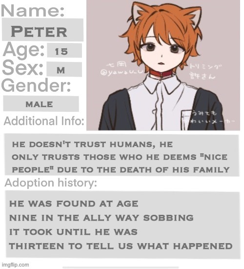 not as much info as i wanted to put | Peter; 15; m; male; he doesn't trust humans, he only trusts those who he deems "nice people" due to the death of his family; he was found at age nine in the ally way sobbing it took until he was thirteen to tell us what happened | image tagged in orphanage faction file | made w/ Imgflip meme maker