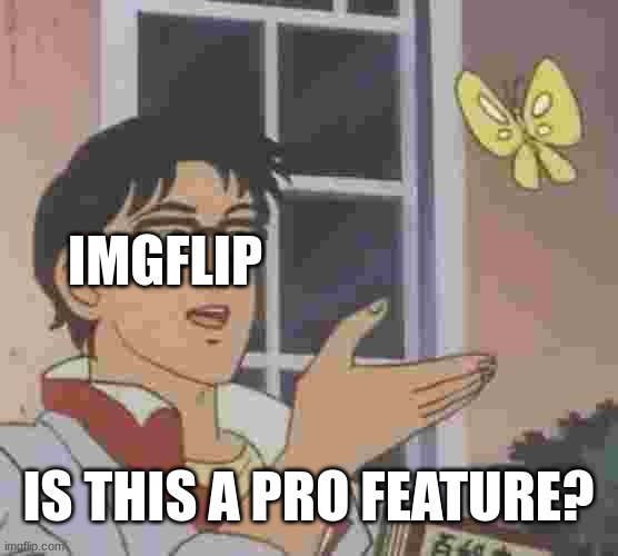 Pro Feature | image tagged in pro feature | made w/ Imgflip meme maker