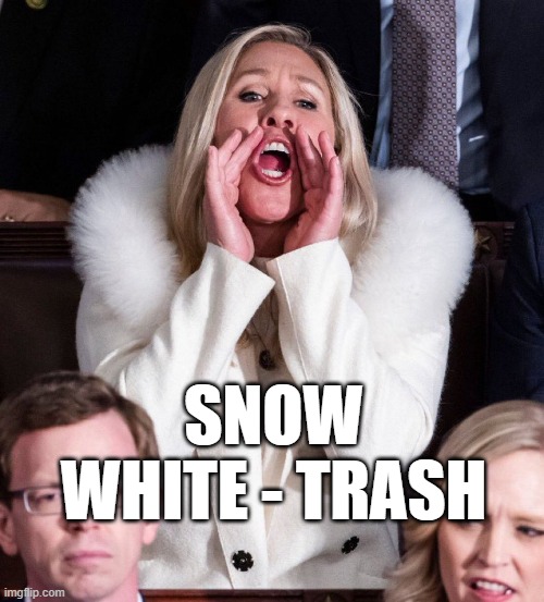Fak American MTG | SNOW WHITE - TRASH | image tagged in republican,fake american,majorie taylor green,garbage,trash | made w/ Imgflip meme maker